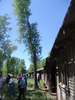 WY_Sebak_B&Ocabins_60b